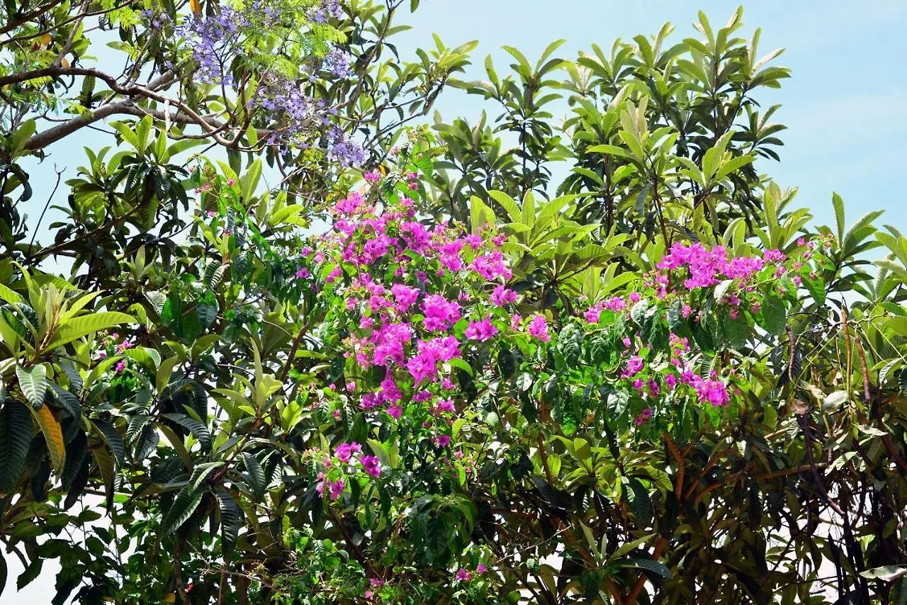 Pousada Arquipélago Florianópolis